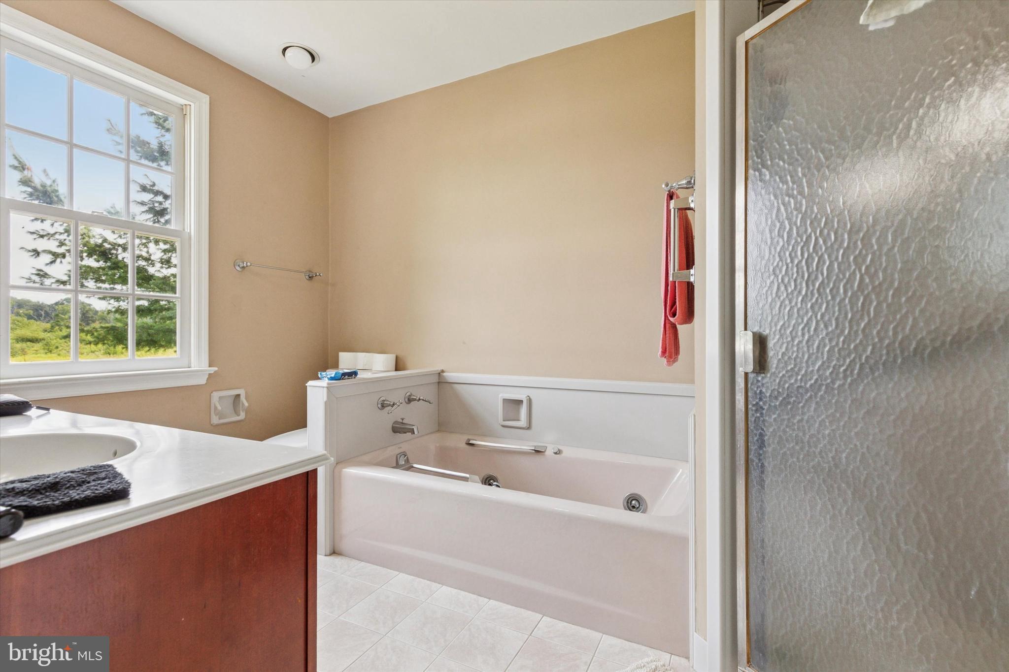423 Deep Run Road Perkasie, PA 18944 - Photo 16 of 25 a bathroom with a sink and a bathtub