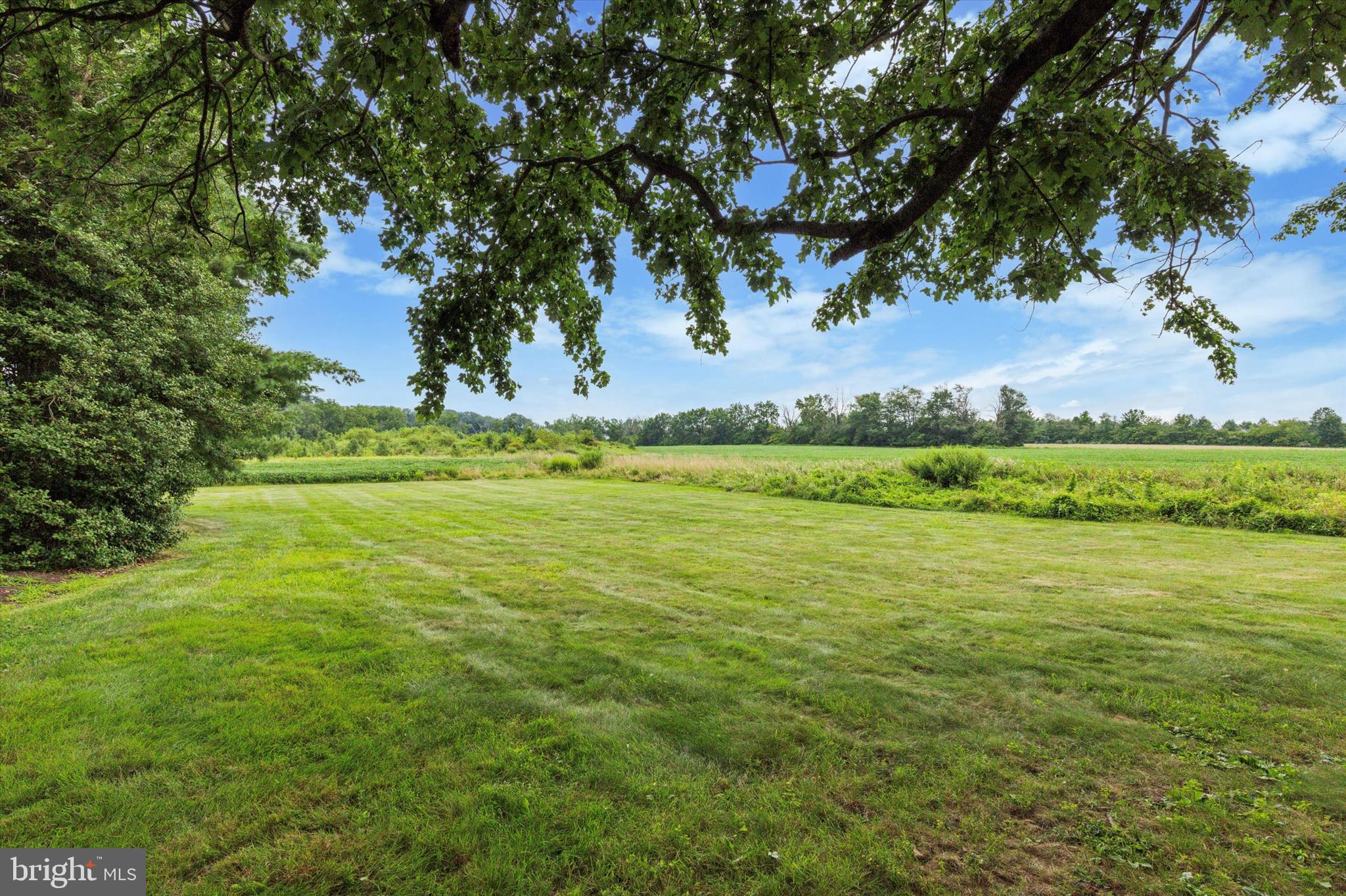 423 Deep Run Road Perkasie, PA 18944 - Photo 25 of 25 a view of a field with an trees