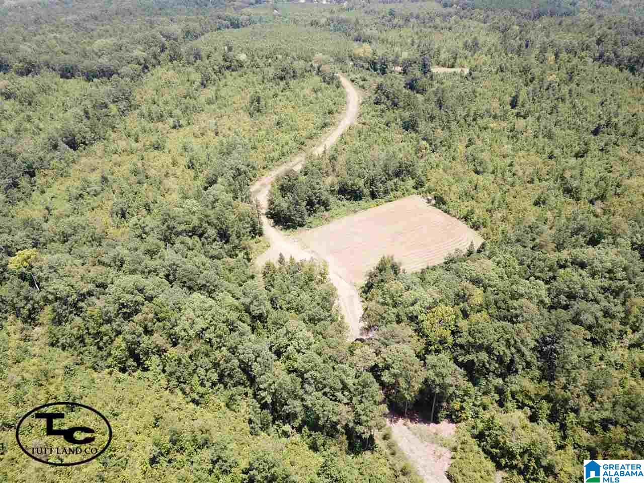 43 Highway, Unit CALVARY Demopolis, AL 36732 - Photo 7 of 9