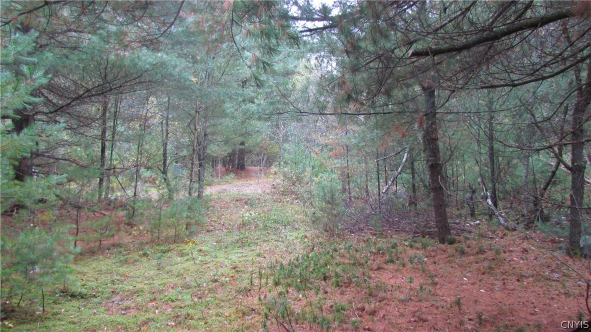 0 North To South Road Brantingham, NY 13312 - Photo 14 of 20 Gallery Image 14