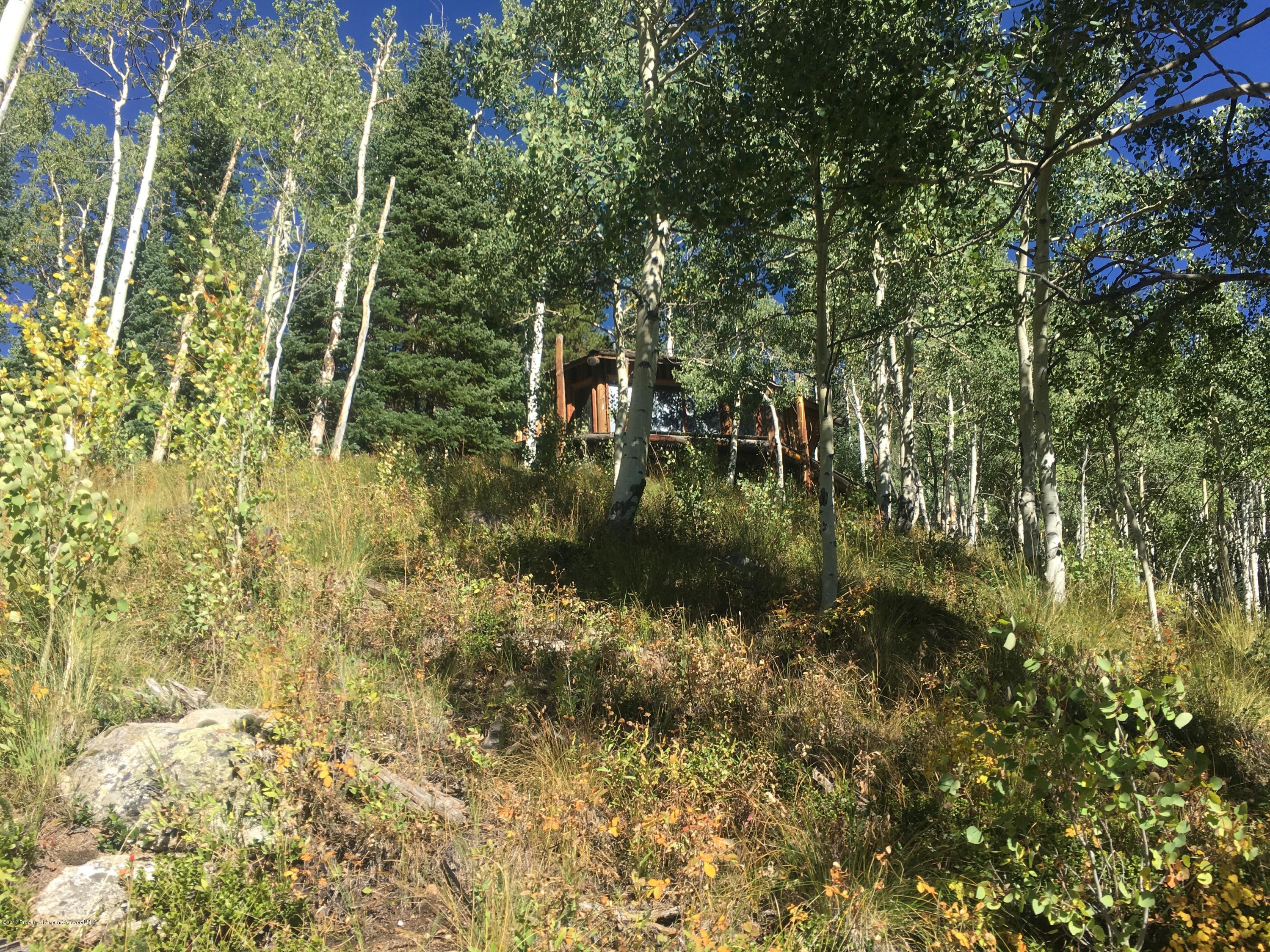Cabin in Aspen grove