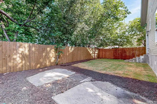 a view of a backyard with large tree and wooden fence