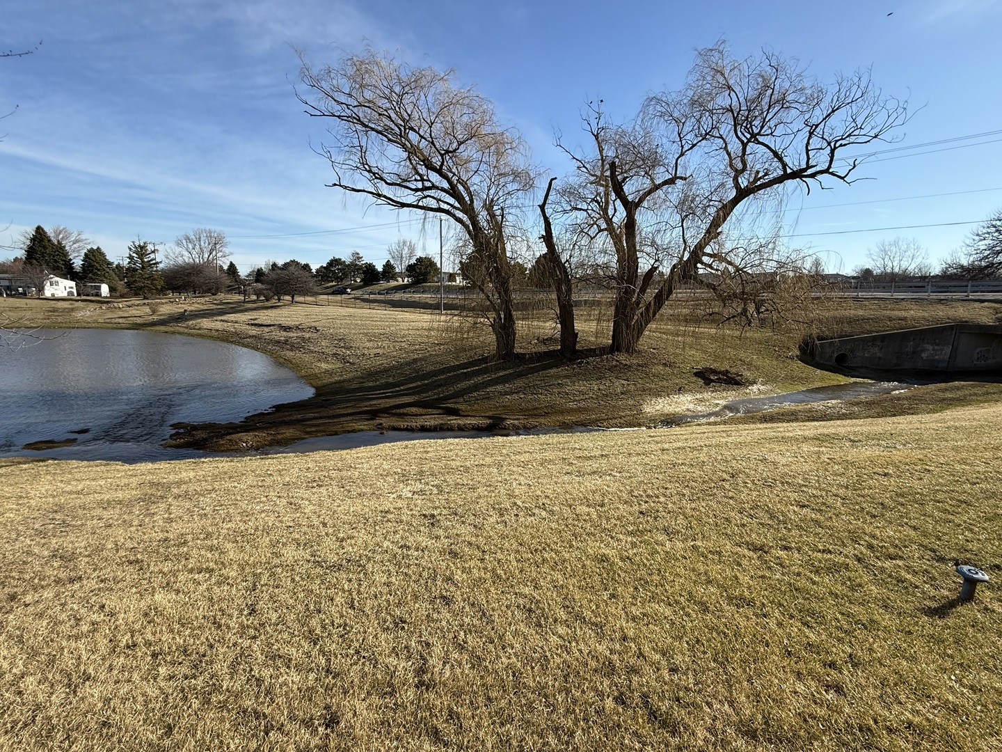 602 Tanglewood Road Matteson, IL 60443 - Photo 23 of 26 a view of a backyard of the house