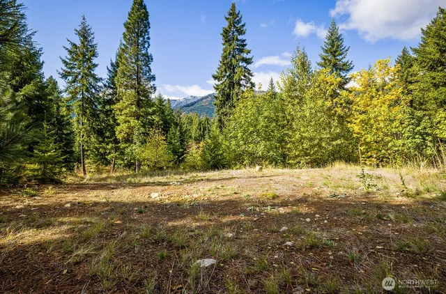 $285,000 | 33 Lakeside Court, Ronald, WA 98940