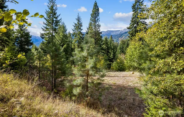 $285,000 | 33 Lakeside Court, Ronald, WA 98940