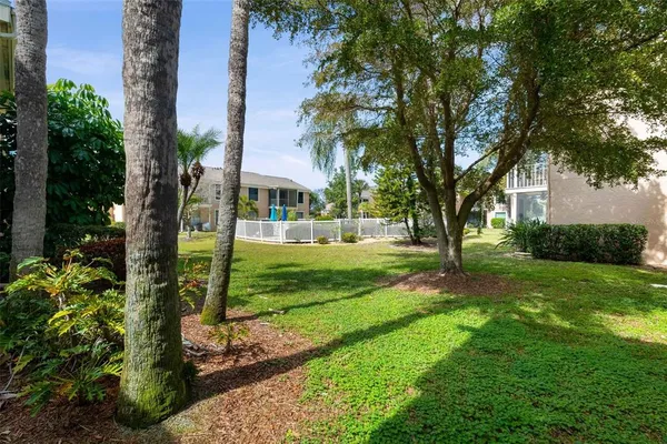 a view of a park with trees
