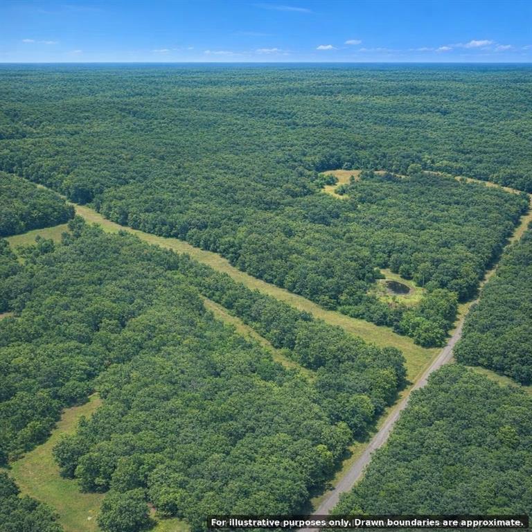 Tbd Lindsey Road Big Sandy, TX 75755 - Photo 10 of 13 Gallery Image 10