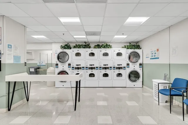 a view of park with large trees