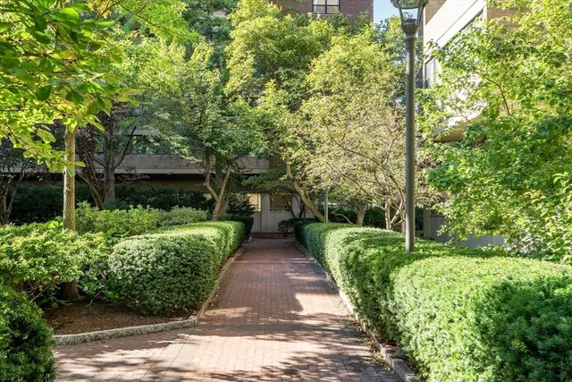 a view of road with large trees