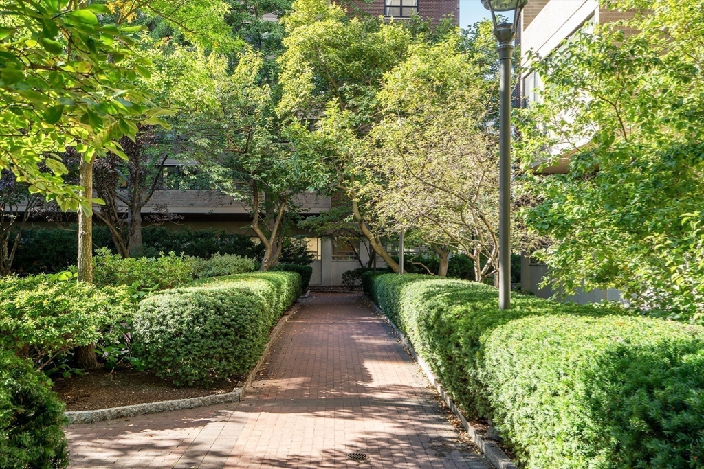 9 Hawthorne Place, Unit 5K Boston, MA 02114 - Photo 28 of 37 a view of park with large trees