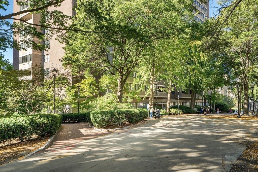 9 Hawthorne Place, Unit 5K Boston, MA 02114 - Photo 29 of 37 a view of road with large trees