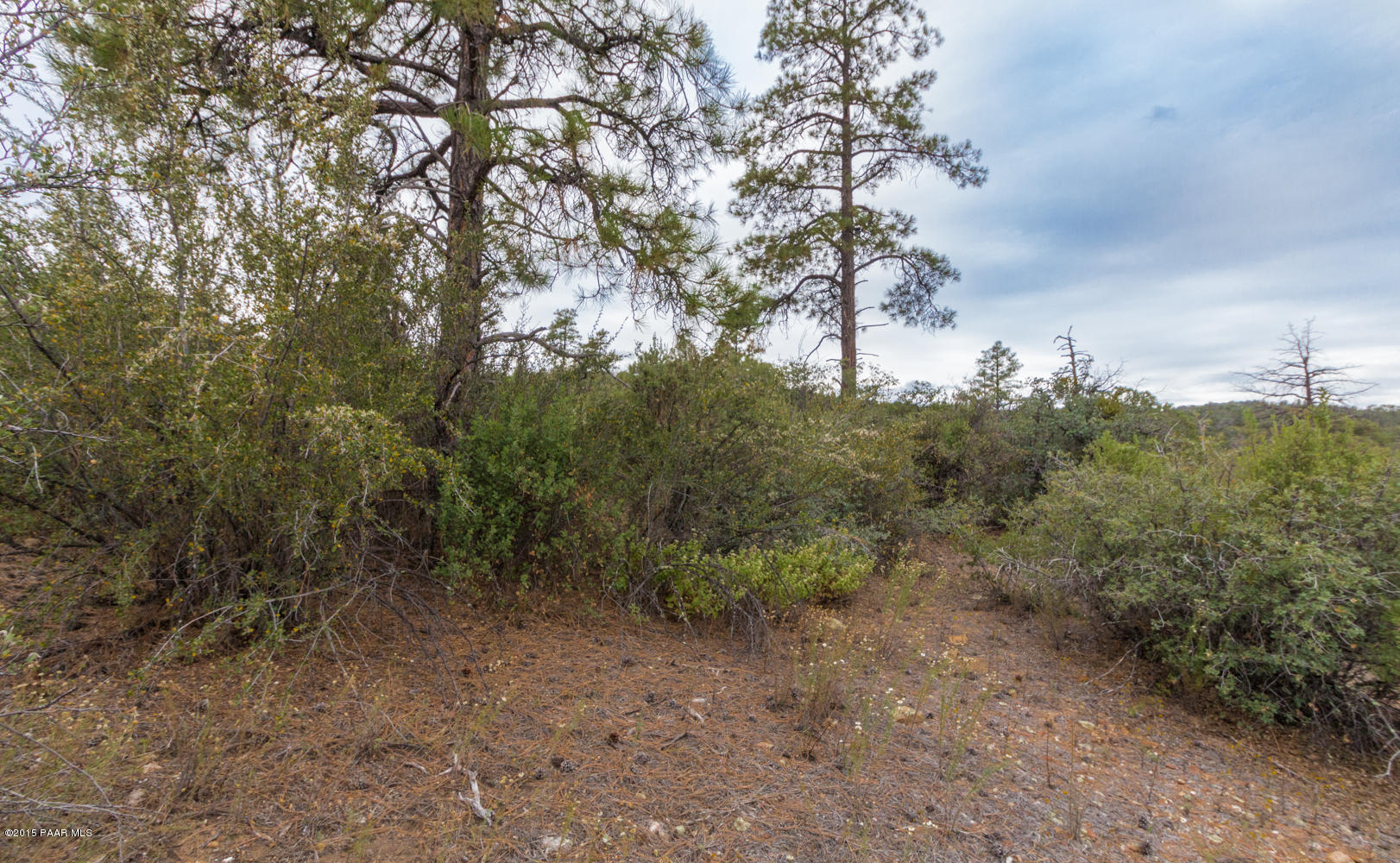 2197 Forest Mountain Road Prescott, AZ 86303 - Photo 11 of 17 011_West View