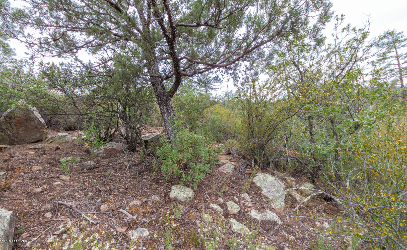 2197 Forest Mountain Road Prescott, AZ 86303 - Photo 12 of 17 012_Lot Looking West
