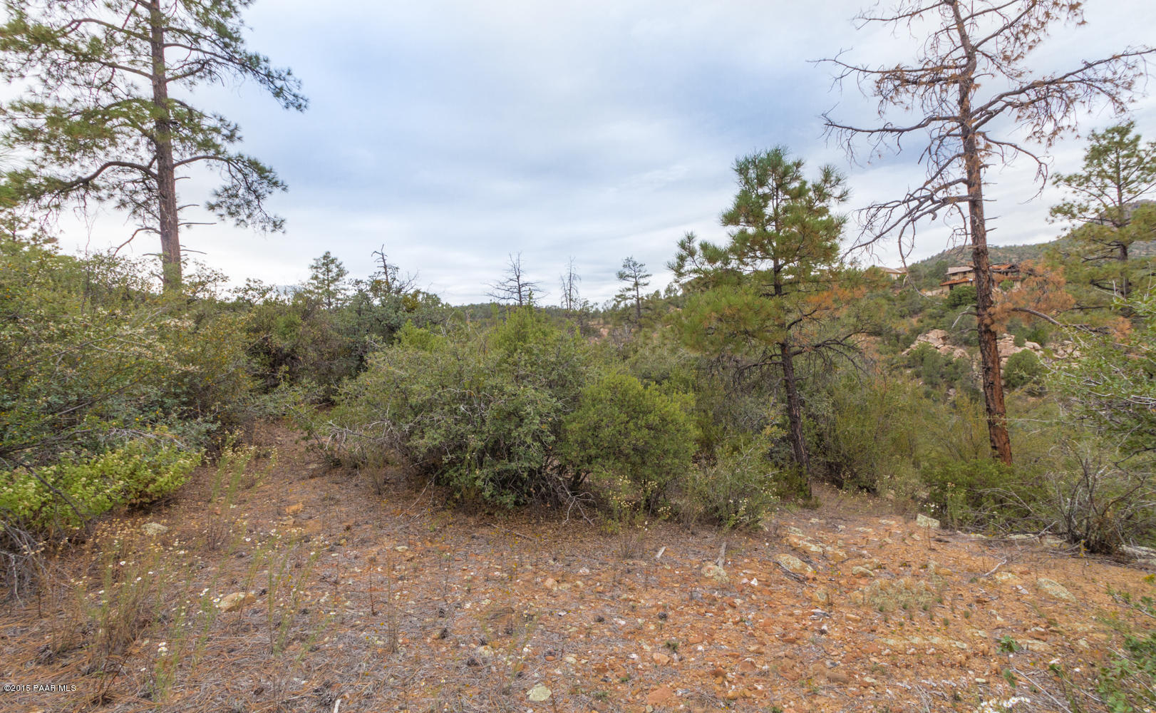 2197 Forest Mountain Road Prescott, AZ 86303 - Photo 13 of 17 013_Northwest