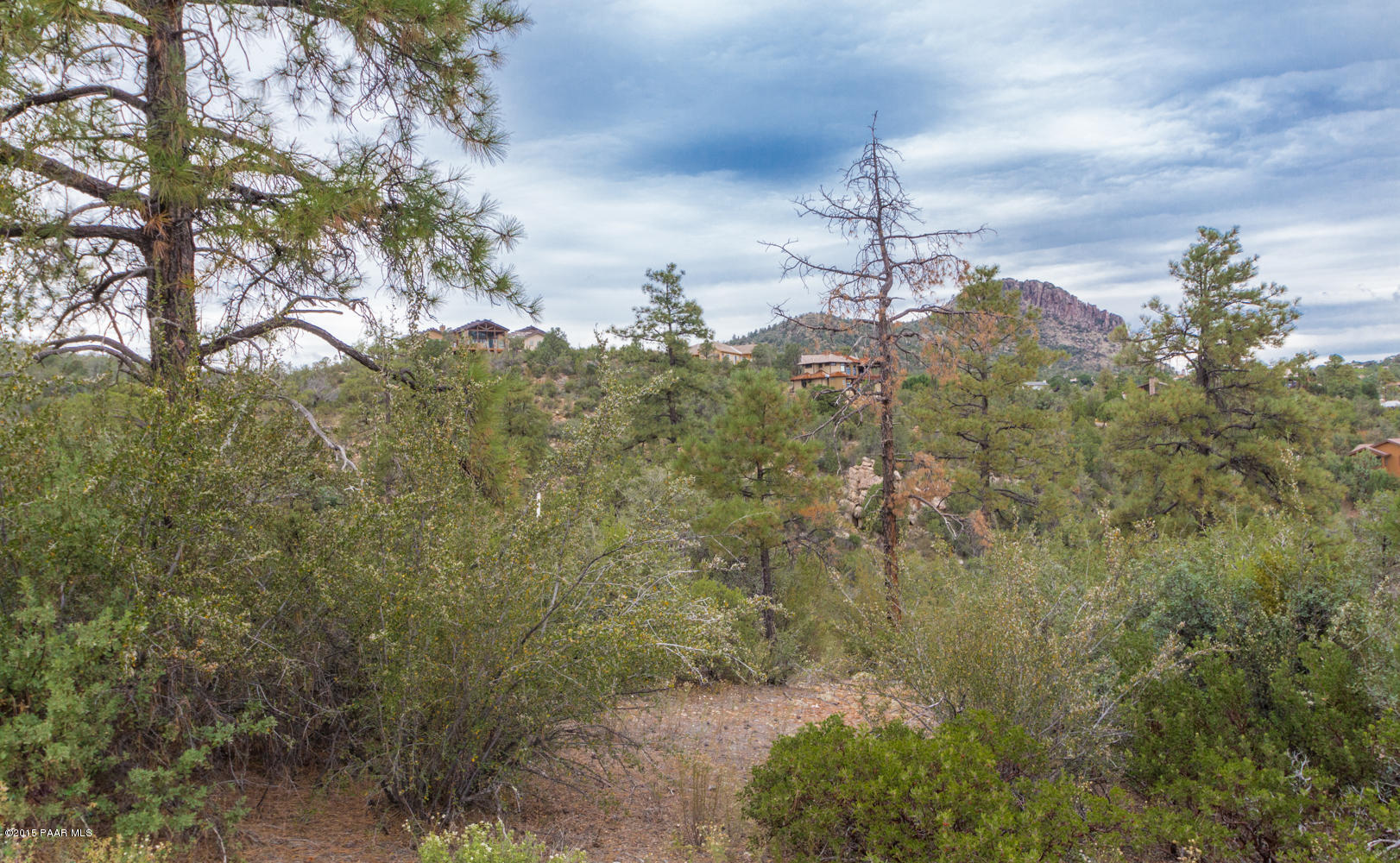 2197 Forest Mountain Road Prescott, AZ 86303 - Photo 3 of 17 003_Lot Looking North