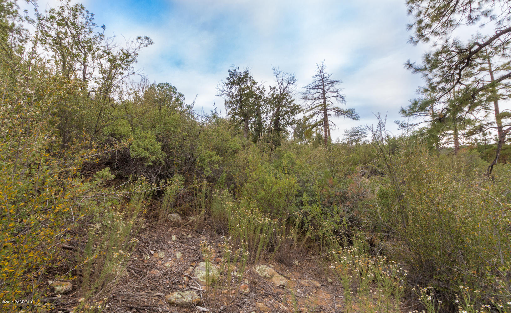 2197 Forest Mountain Road Prescott, AZ 86303 - Photo 7 of 17 007_Lot Looking West