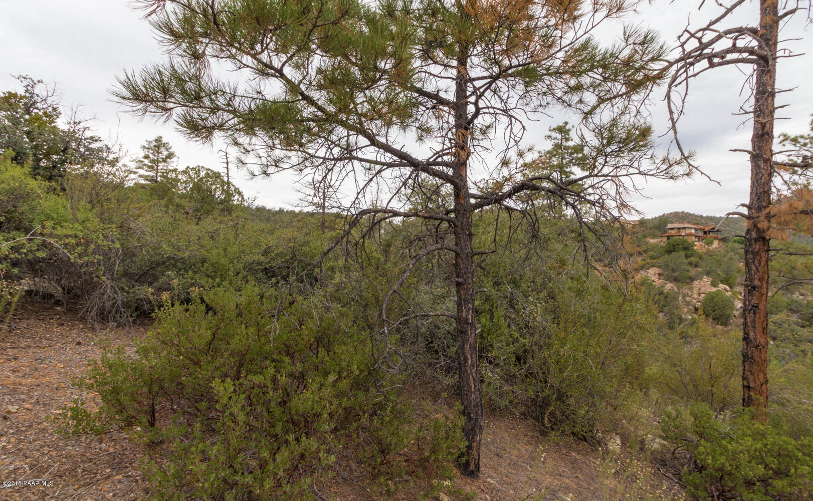 2197 Forest Mountain Road Prescott, AZ 86303 - Photo 10 of 17 010_Lot Looking West