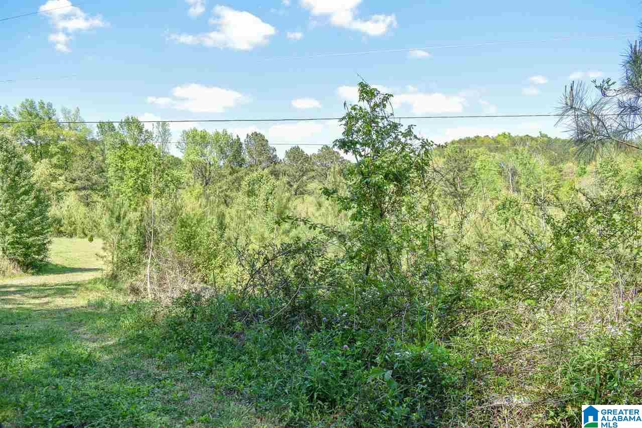 471 Toadvine Road, Unit ACREAGE Bessemer, AL 35023 - Photo 12 of 12 Gallery Image 12