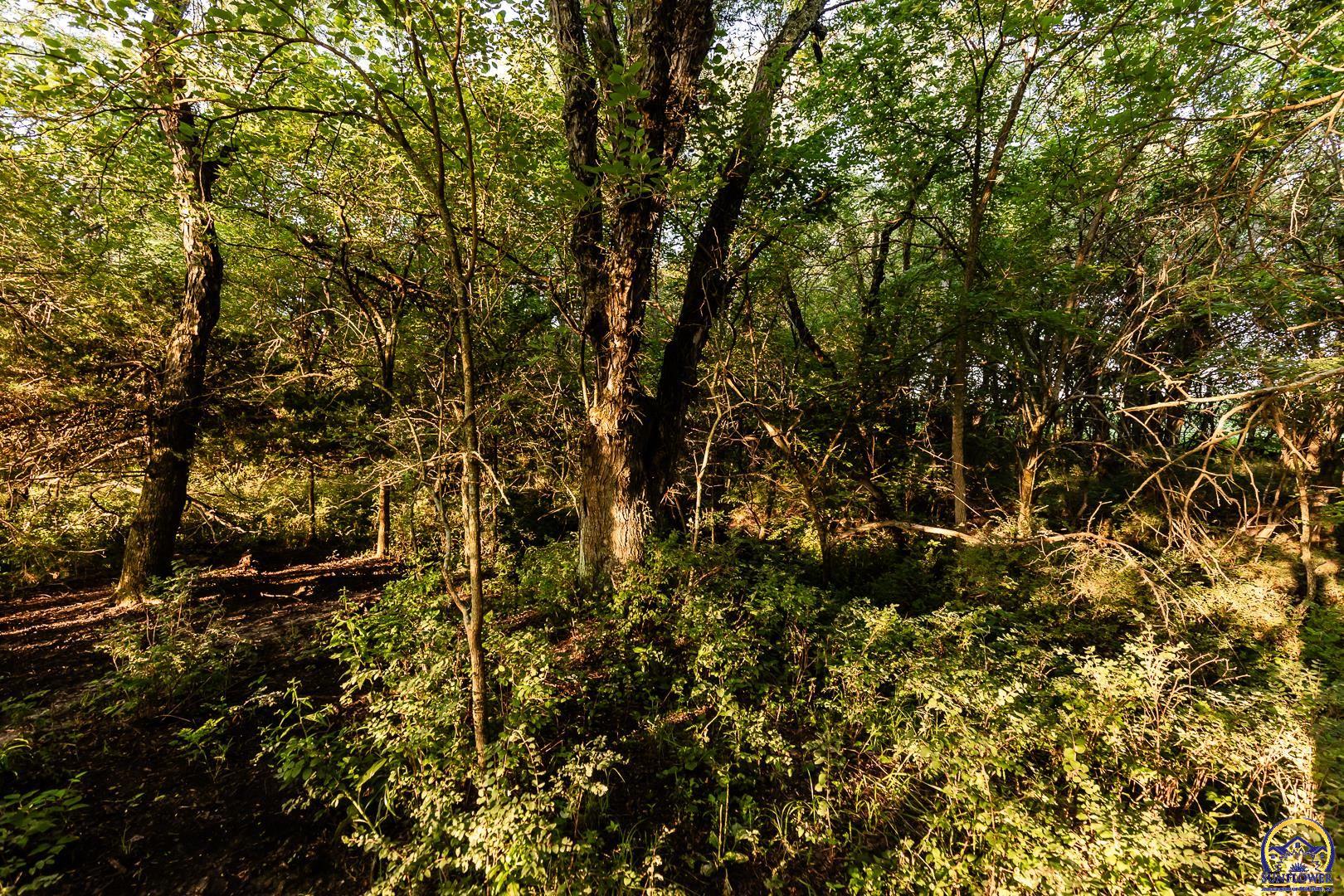 0 I Road Holton, KS 66436 - Photo 49 of 65