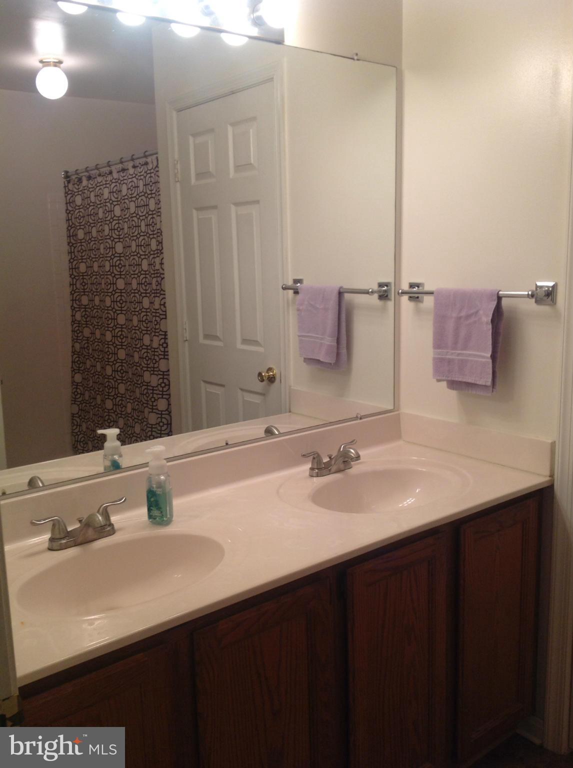 218 Gentlebrook Road Owings Mills, MD 21117 - Photo 11 of 24 Bath (Master)