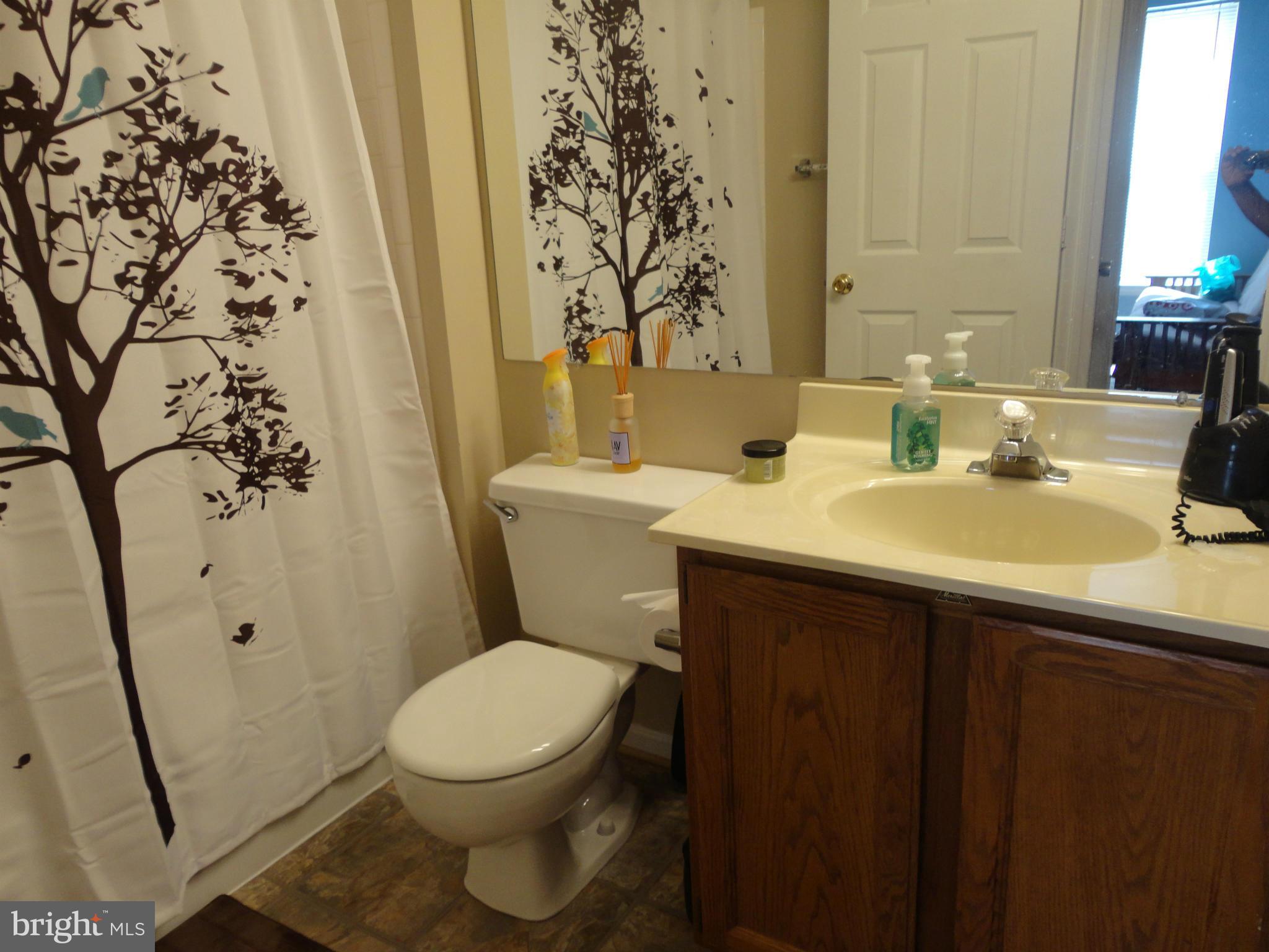 218 Gentlebrook Road Owings Mills, MD 21117 - Photo 15 of 24 Bath