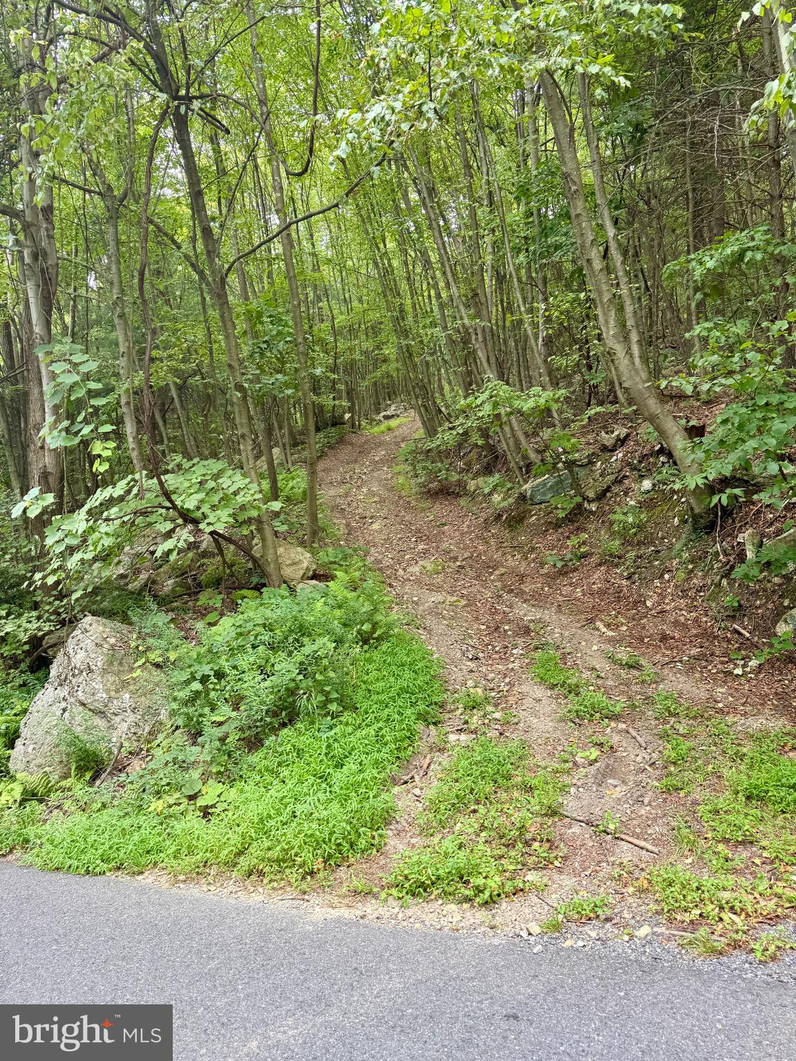 Mountain Road James Creek, PA 16657 - Photo 12 of 28