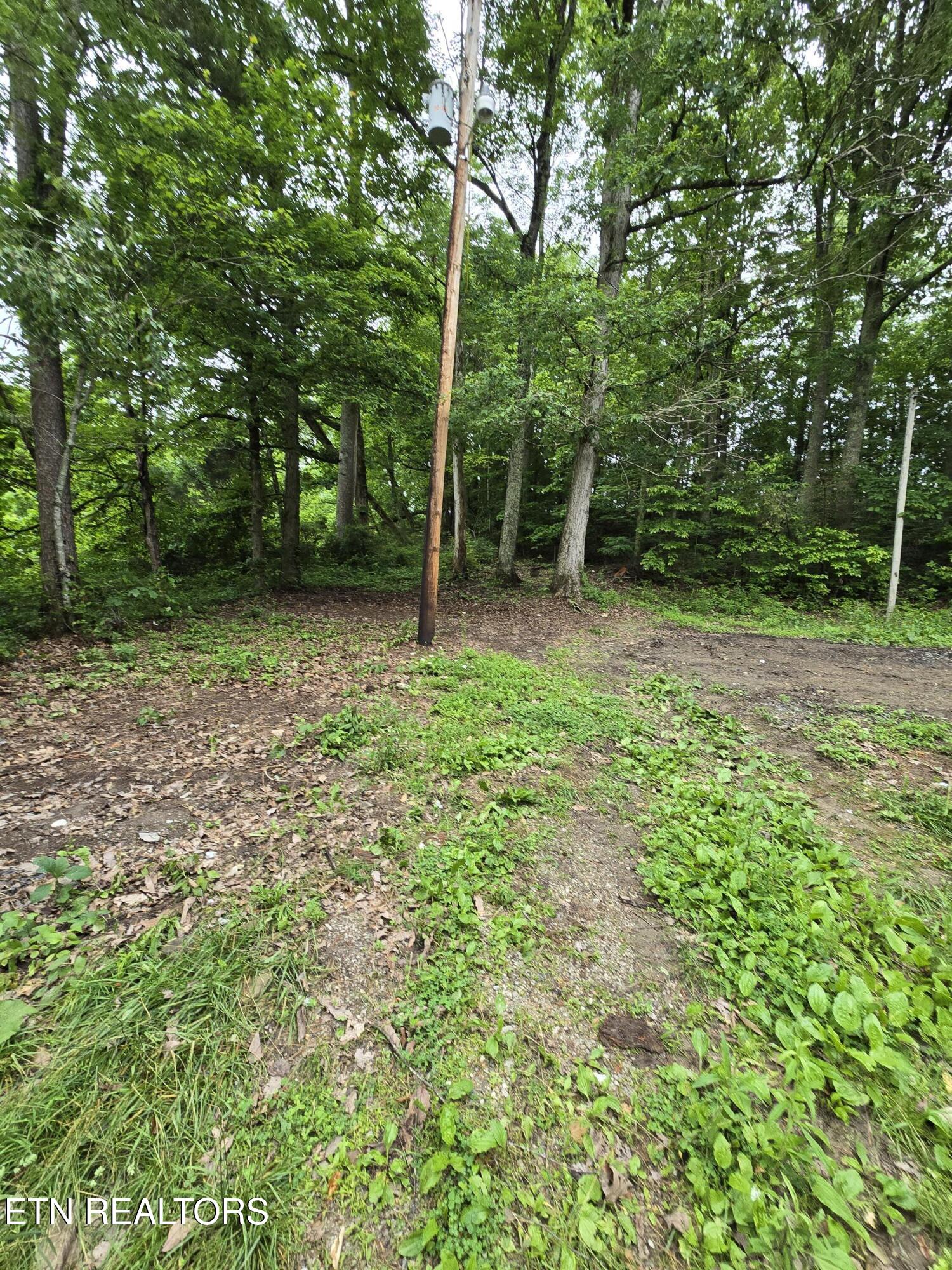 689 Ivey Hollow Road La Follette, TN 37766 - Photo 9 of 12 1000007093
