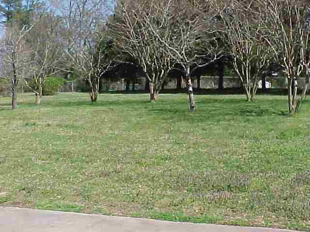 4804 Edwards Road Taylors, SC 29687 - Photo 16 of 23 Gallery Image 16