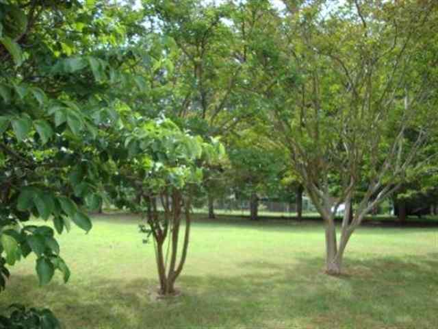 4804 Edwards Road Taylors, SC 29687 - Photo 17 of 23 Gallery Image 17