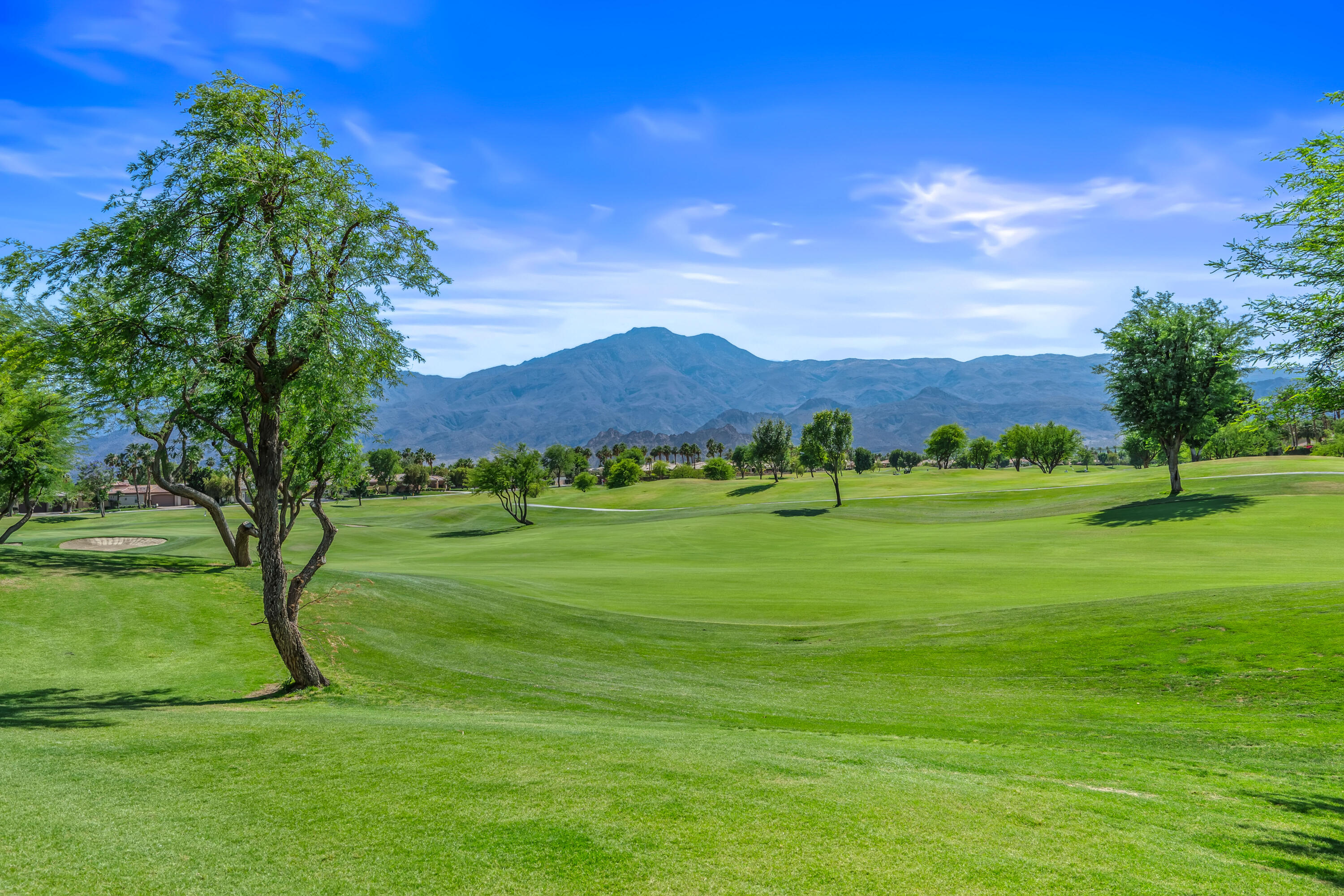56925 Mountain View La Quinta, CA 92253 - Photo 52 of 57 Golf course & mountain iew