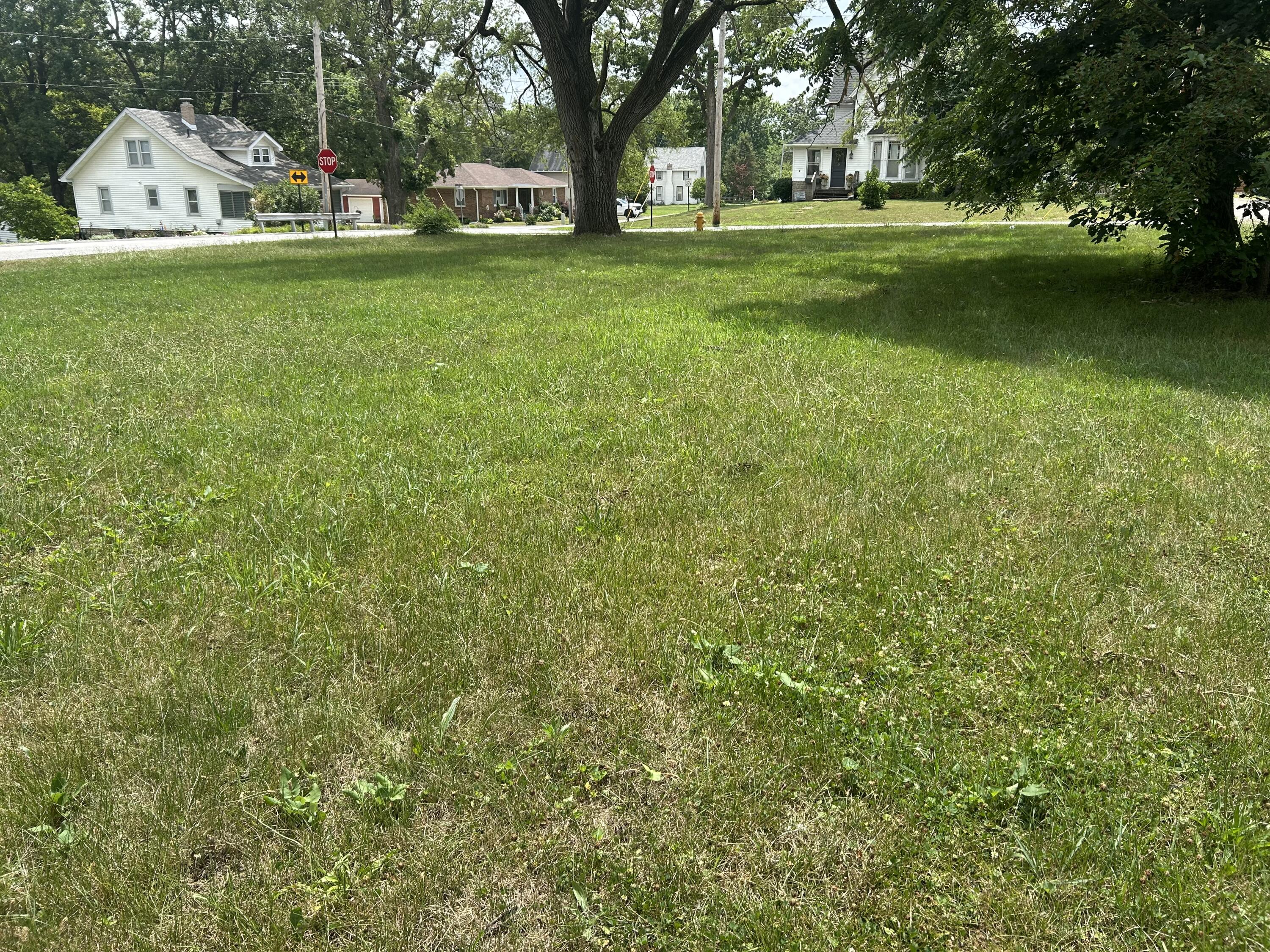 799 East Burnham Street Lowell, IN 46356 - Photo 5 of 8 a view of a park with large trees