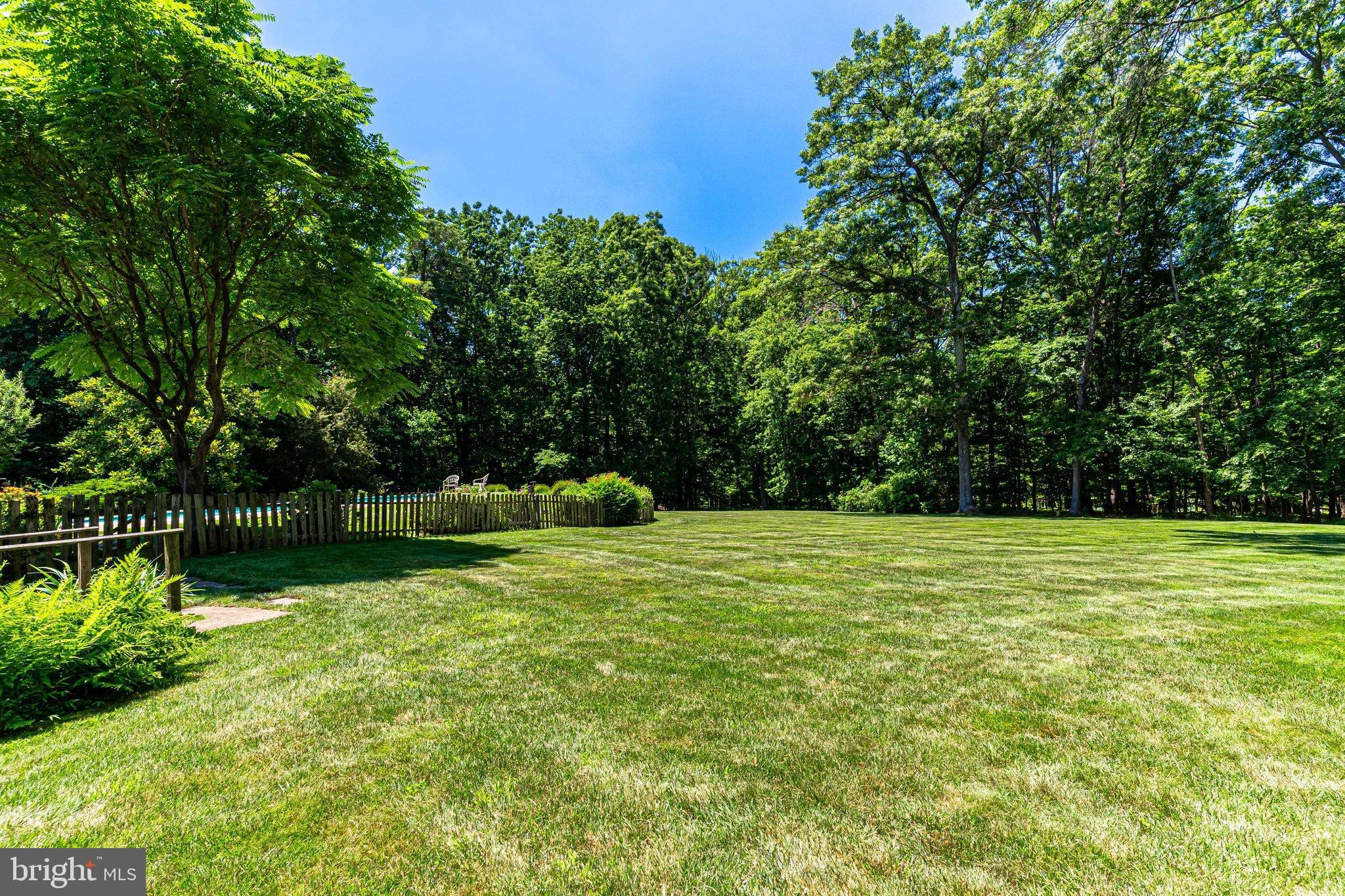 800 Clear Spring Road Great Falls, VA 22066 - Photo 27 of 37 Gorgeous rear yard