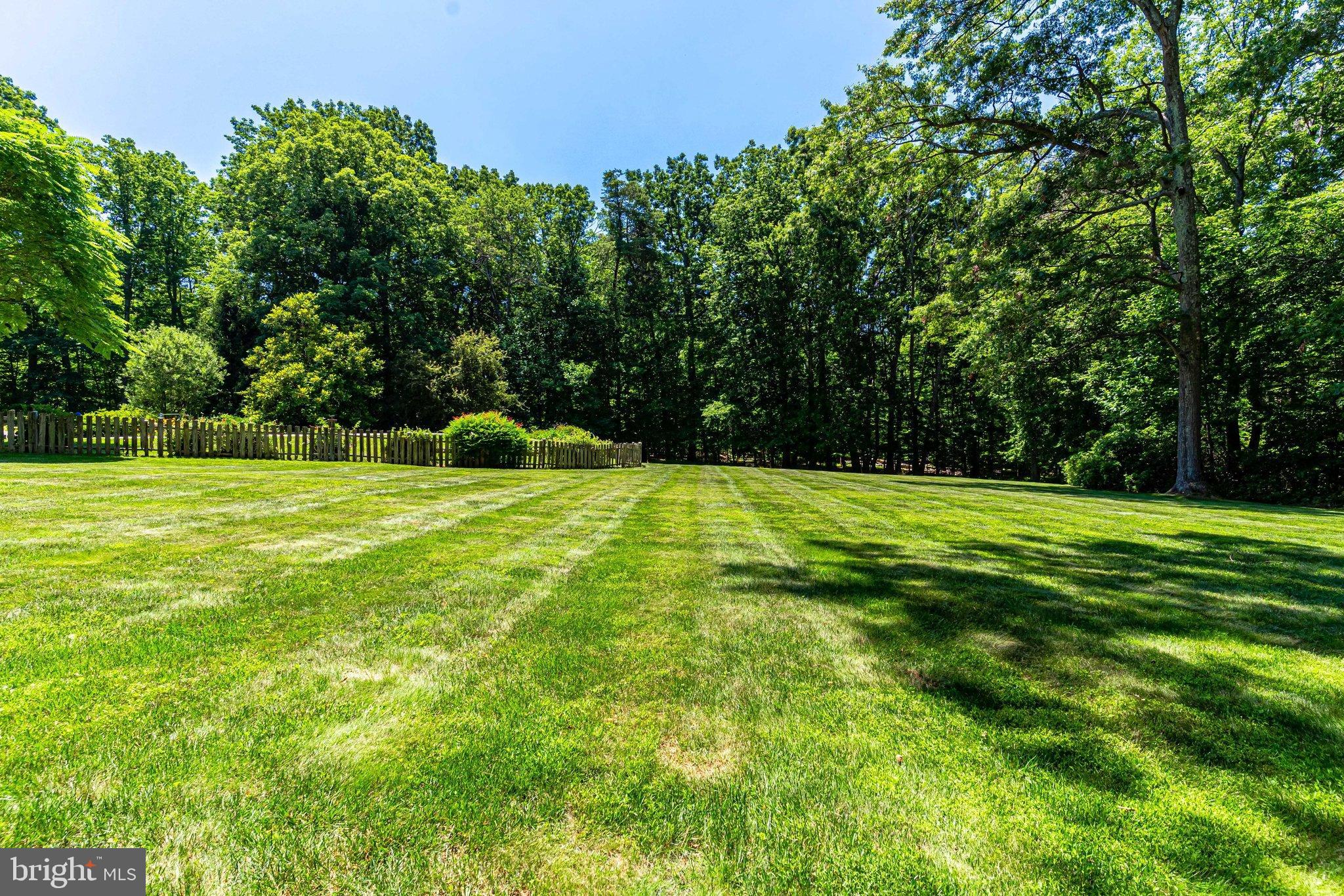 800 Clear Spring Road Great Falls, VA 22066 - Photo 28 of 37 Huge flat area for fun and games