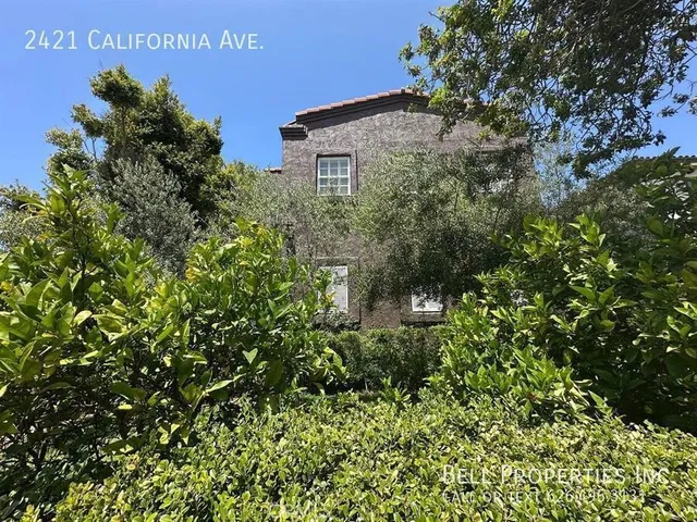a view of a wooden building