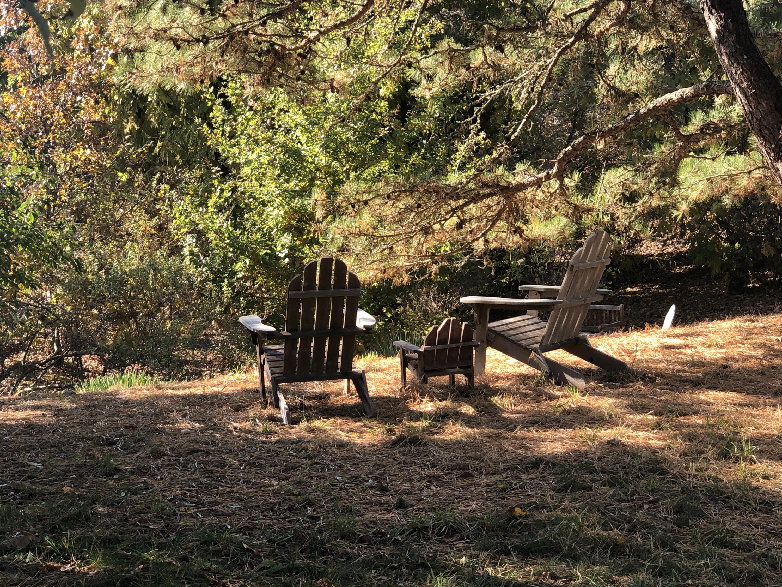 520 Samoset Road Eastham, MA 02642 - Photo 46 of 46 a view of outdoor space with garden