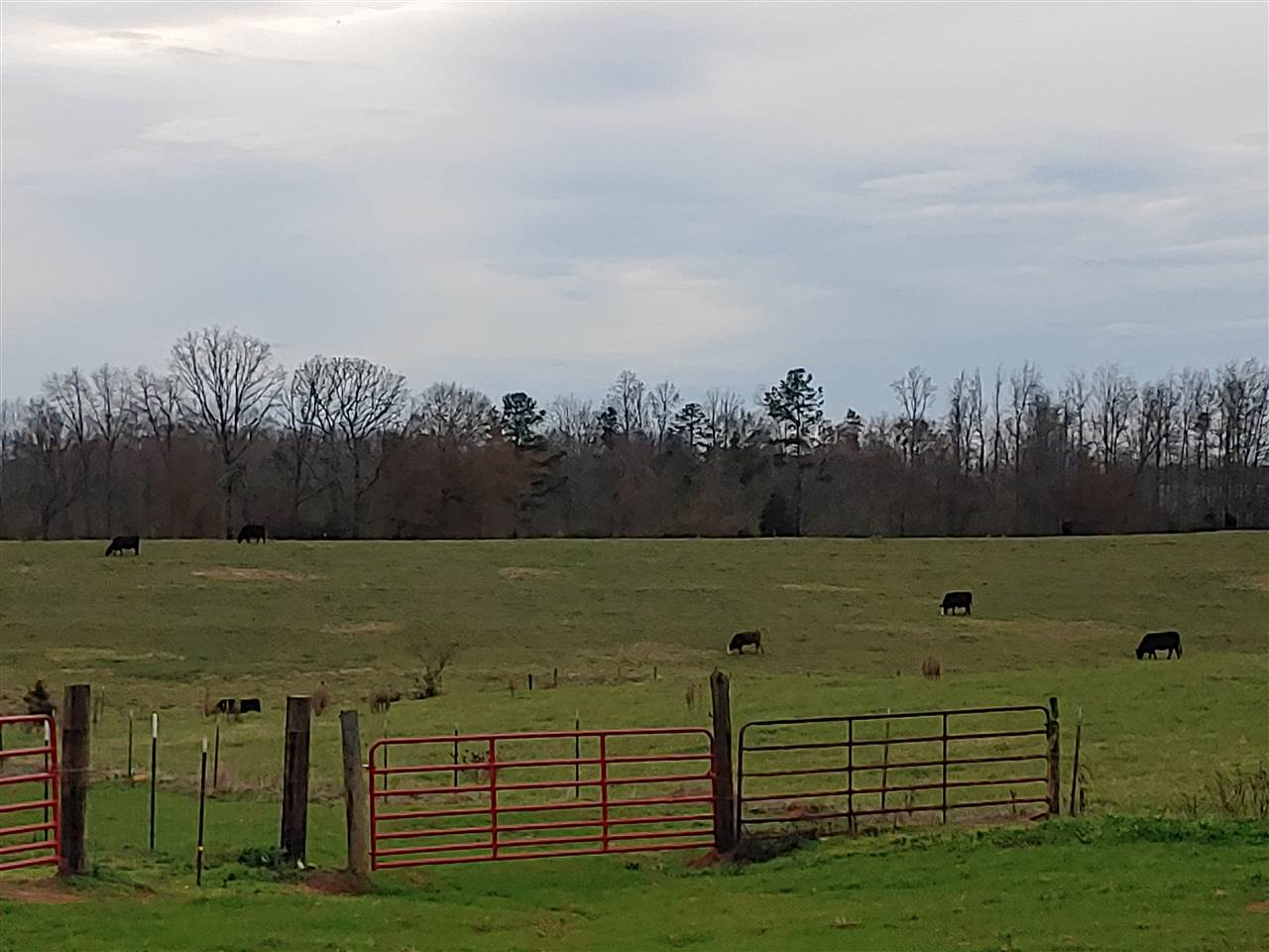 1195 Pleasant School Road Gaffney, SC 29341 - Photo 16 of 33