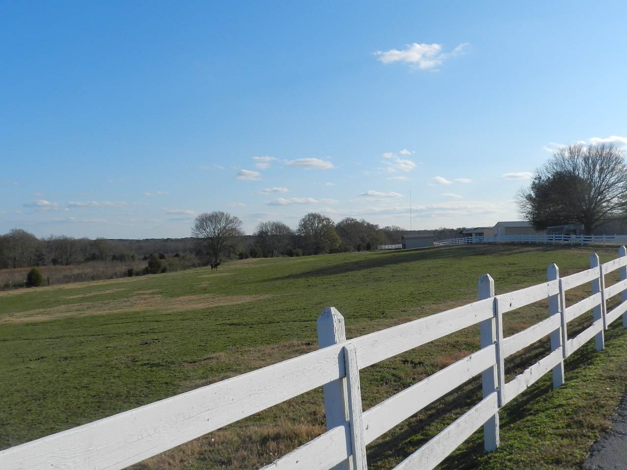 1195 Pleasant School Road Gaffney, SC 29341 - Photo 19 of 33