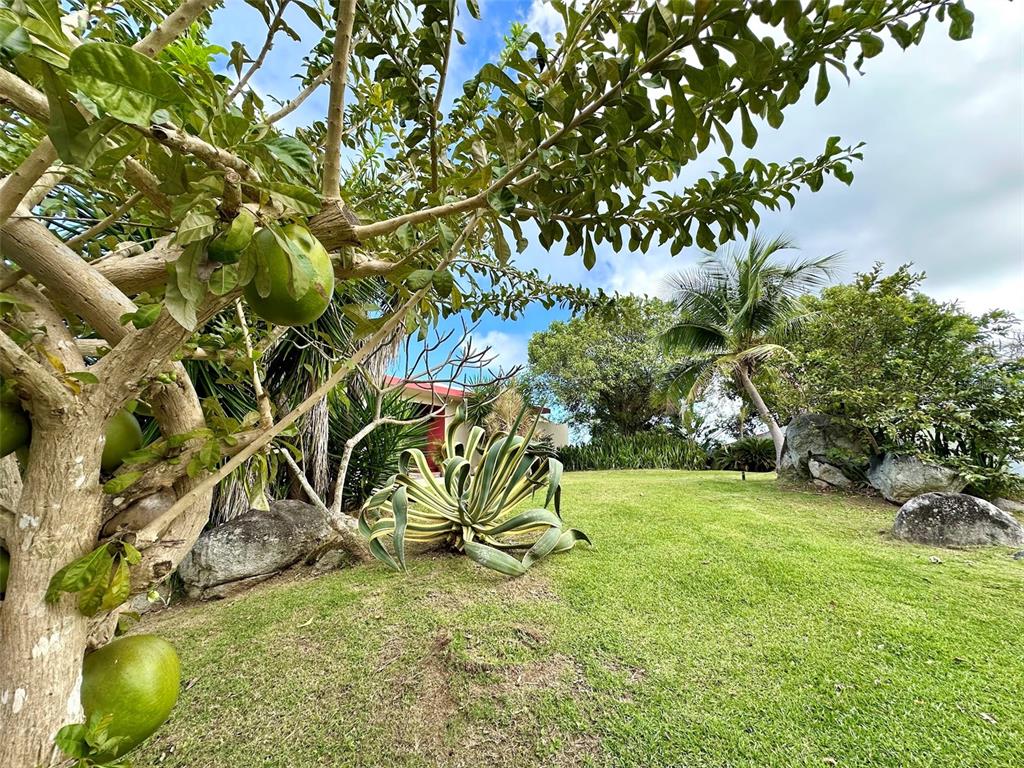 B B Pilon Vieques, PR 00765 - Photo 49 of 53 Gallery Image 49