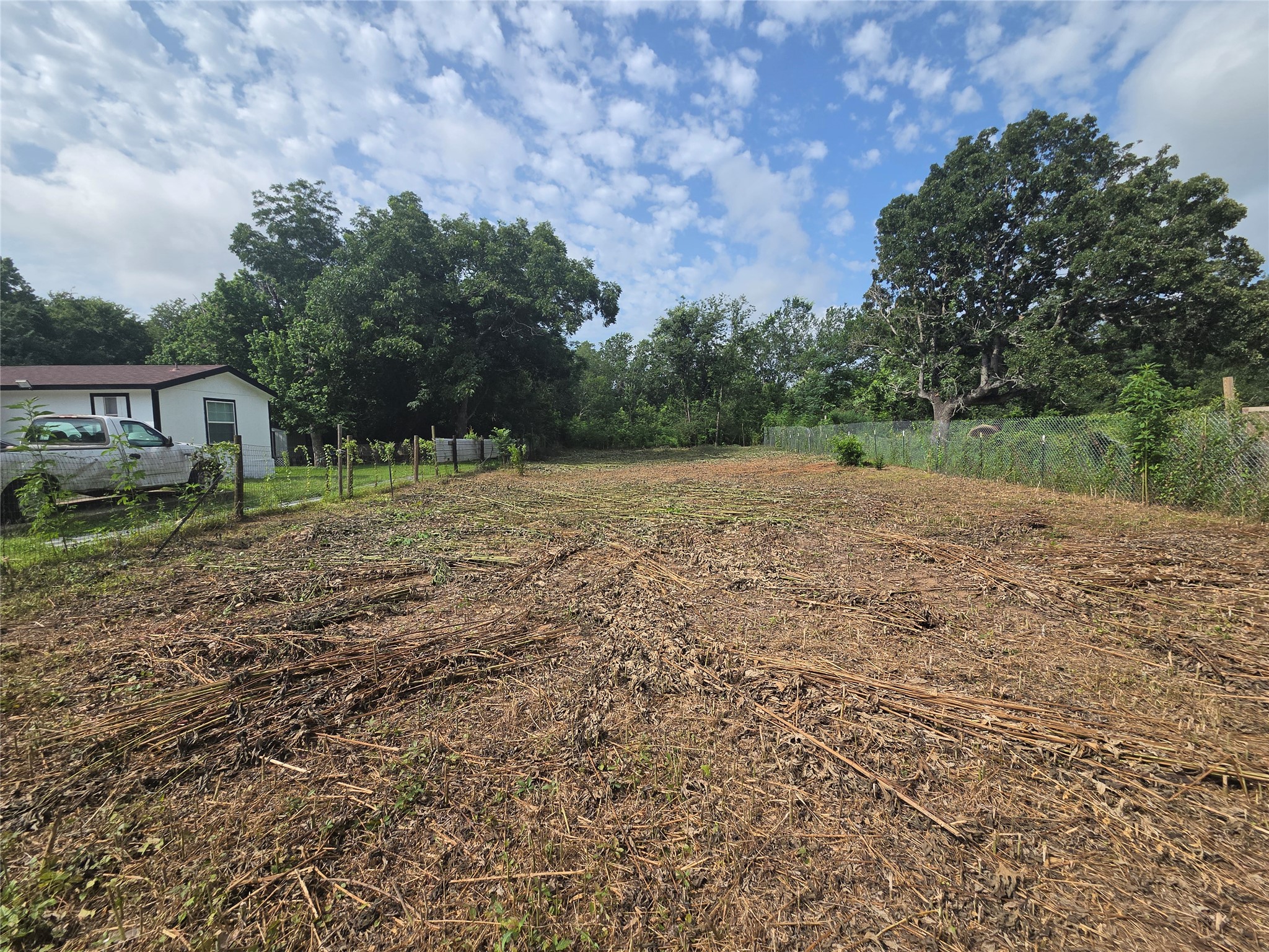 327 Houston Street Elgin, TX 78621 - Photo 5 of 7 A spacious lot offers ample room for new construction, bordered by mature trees and a chain link fence.
