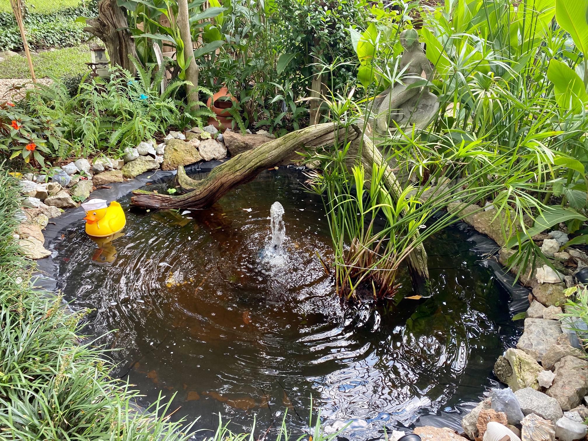 1054 Yeamans Hall Road Hanahan, SC 29410 - Photo 25 of 28 Pond-Fountain