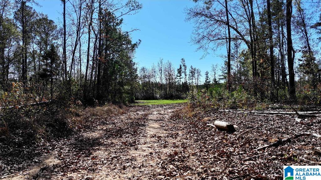 200 Kelly Creek Road Odenville, AL 35120 - Photo 42 of 47