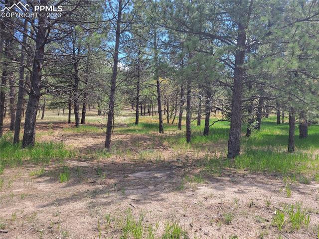 245 Hidden Valley Road Colorado Springs, CO 80919 - Photo 3 of 9