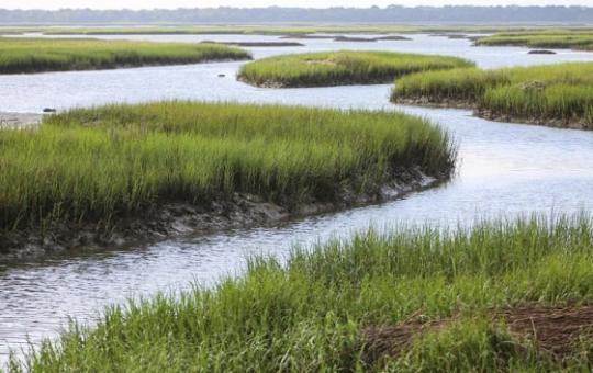 3820 Garden Hill Road Mount Pleasant, SC 29429 - Photo 53 of 53 copahee sound