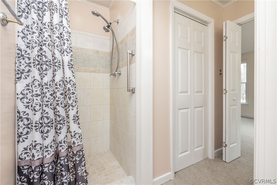12602 Old Ridge Road Doswell, VA 23047 - Photo 24 of 37 Walk in tiled shower