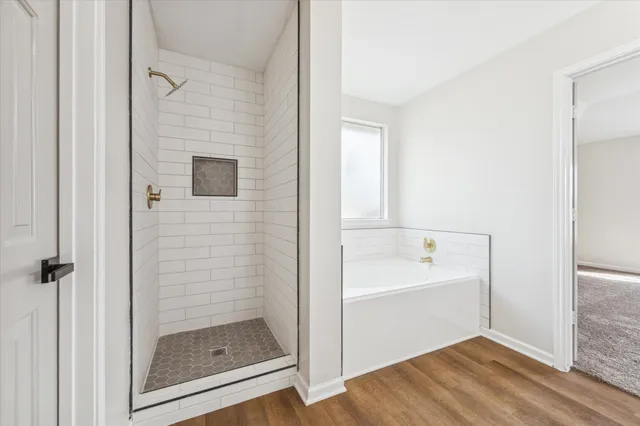 a bathroom with a bathtub and a shower