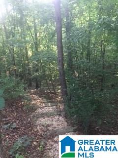150 White Springs Road Warrior, AL 35180 - Photo 12 of 29