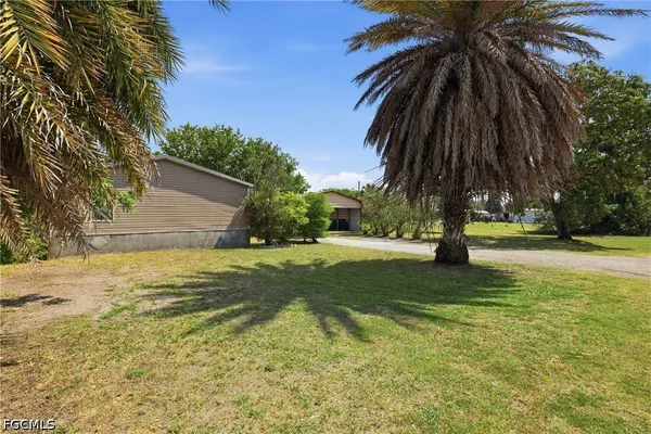 a view of yard with tree
