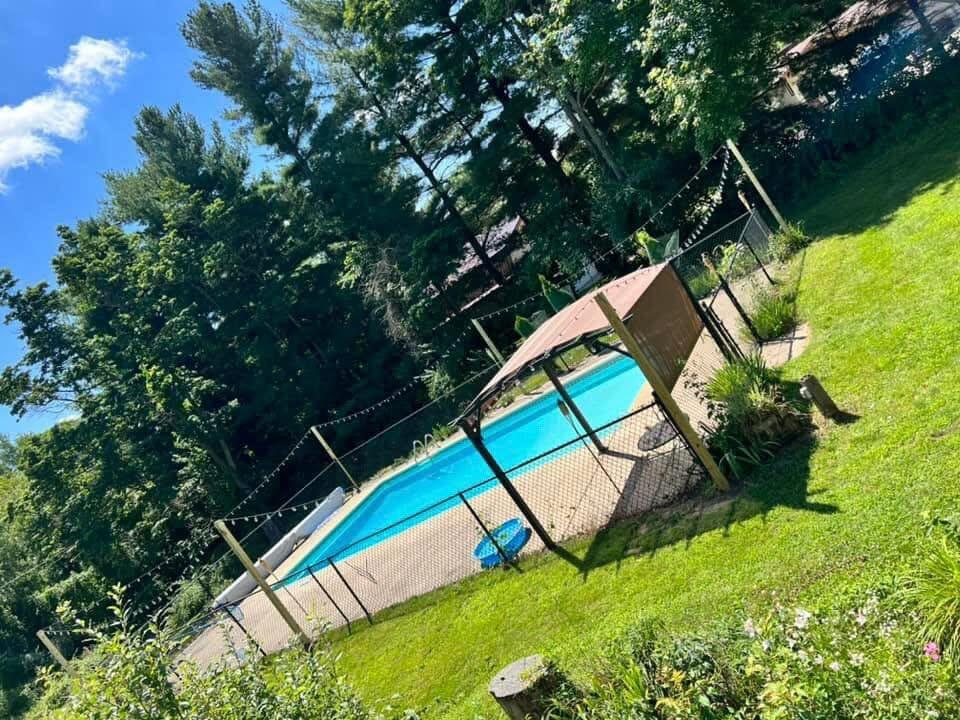 67853 Big Hill Road Sturgis, MI 49091 - Photo 27 of 42 pool 1