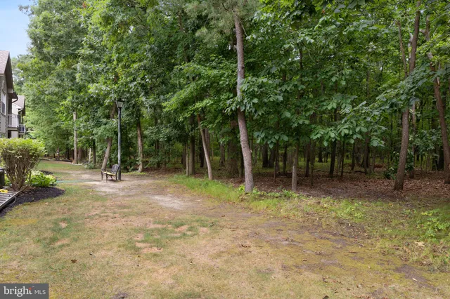 a backyard of a house with plants and large tree