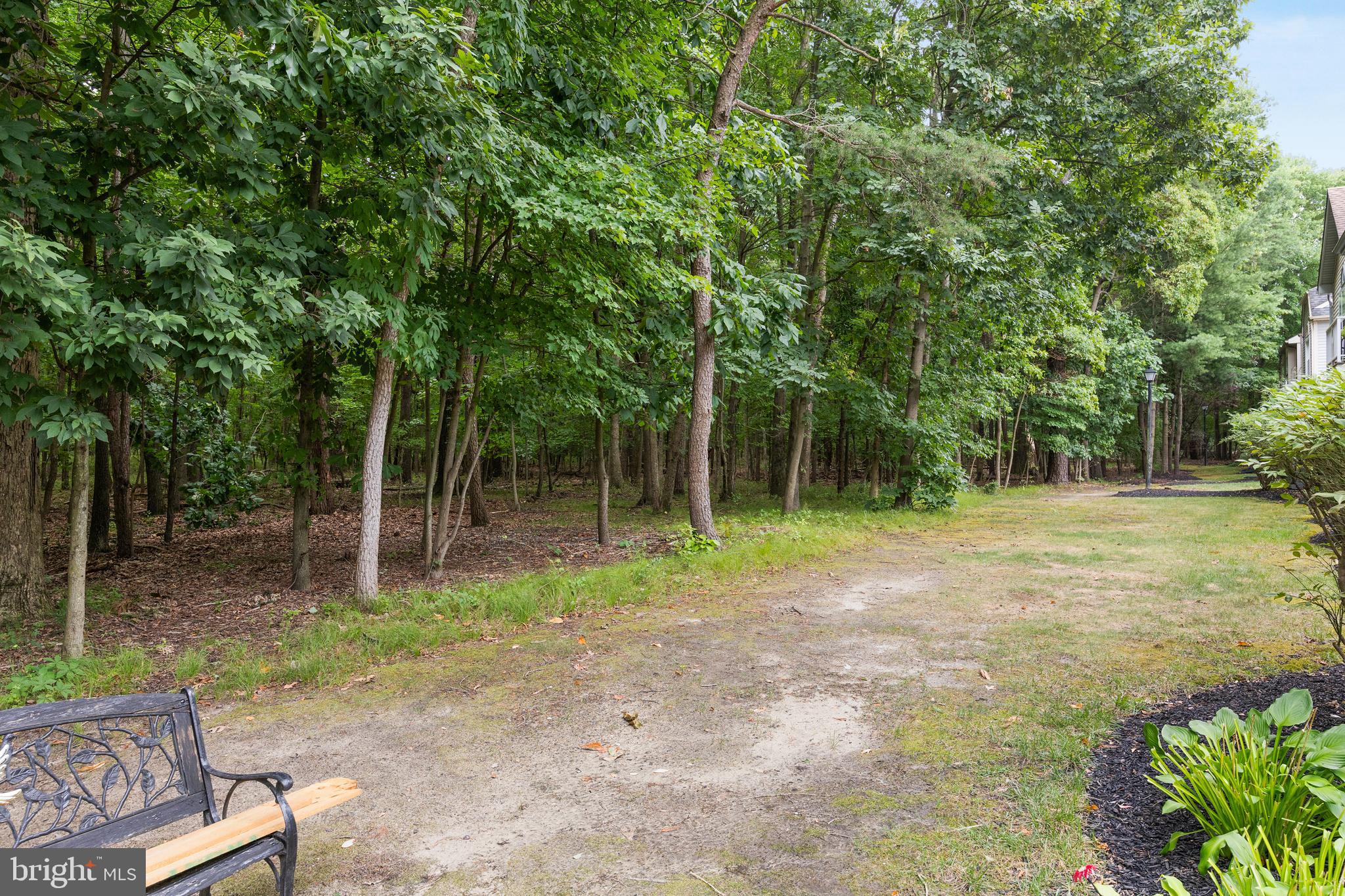 5003 A Albridge Way Mount Laurel, NJ 08054 - Photo 28 of 28 a backyard of a house with plants and large trees